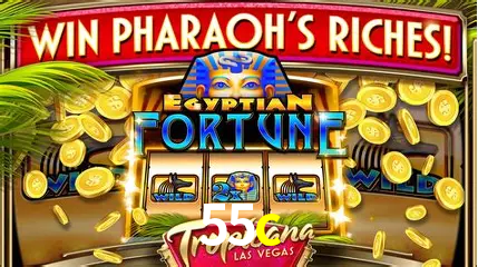 VIP Casino 55c
